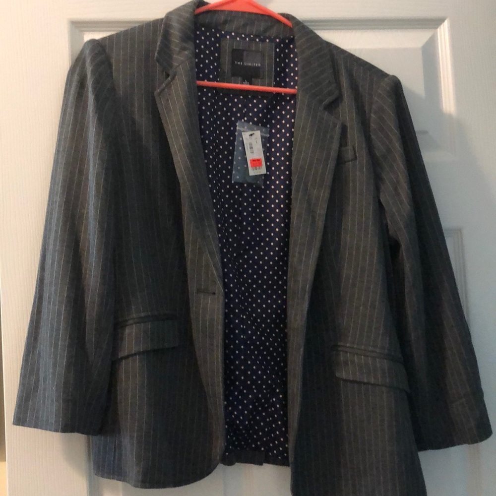 Gray Pinstriped The Limited Blazer NWT